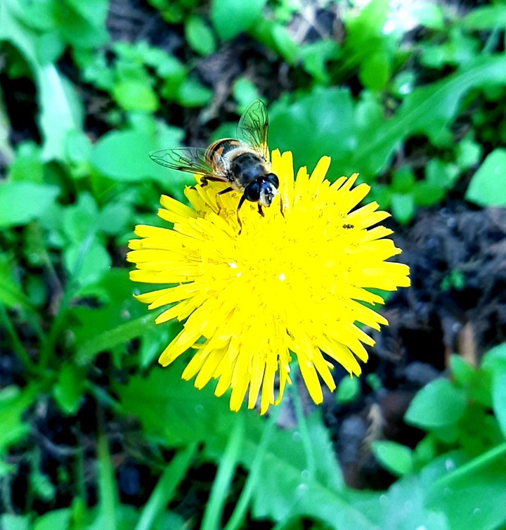 la naturaleza a su ritmo