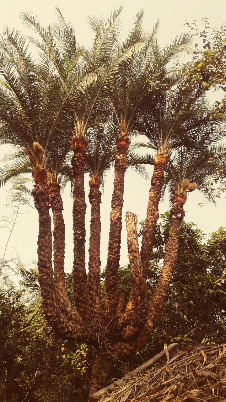 beauty of nature...