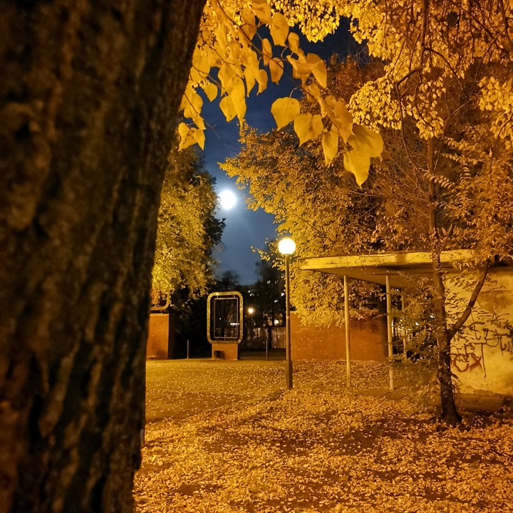 Фонари