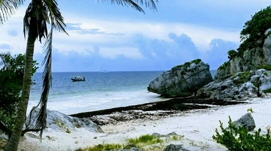 Playa