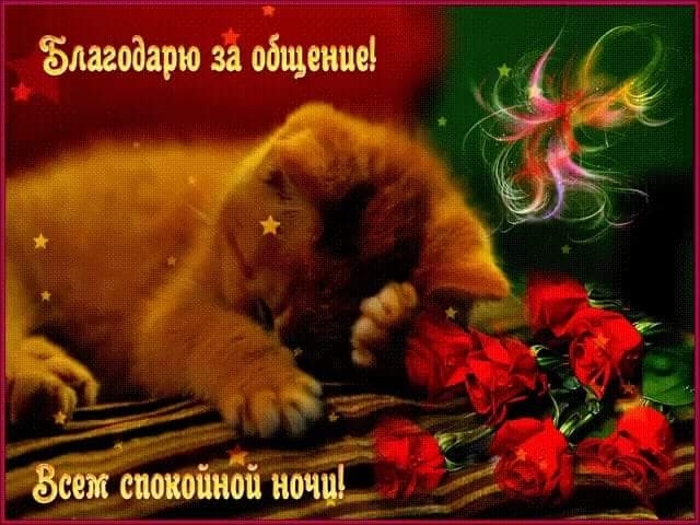 ночь