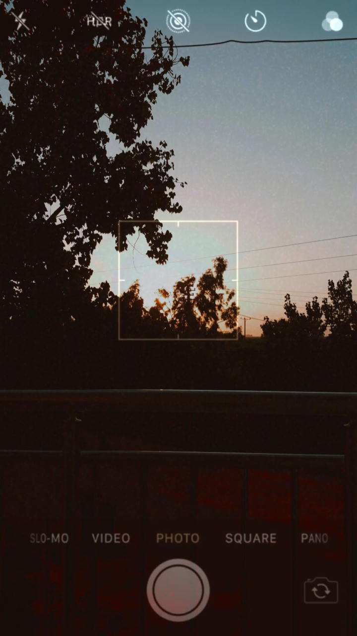 sunset