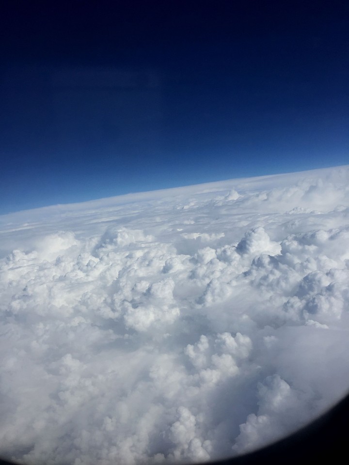 fly