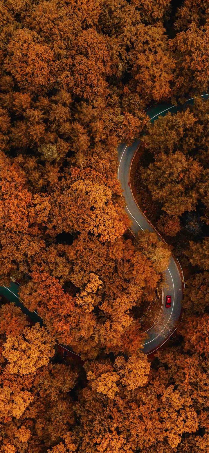 autumn