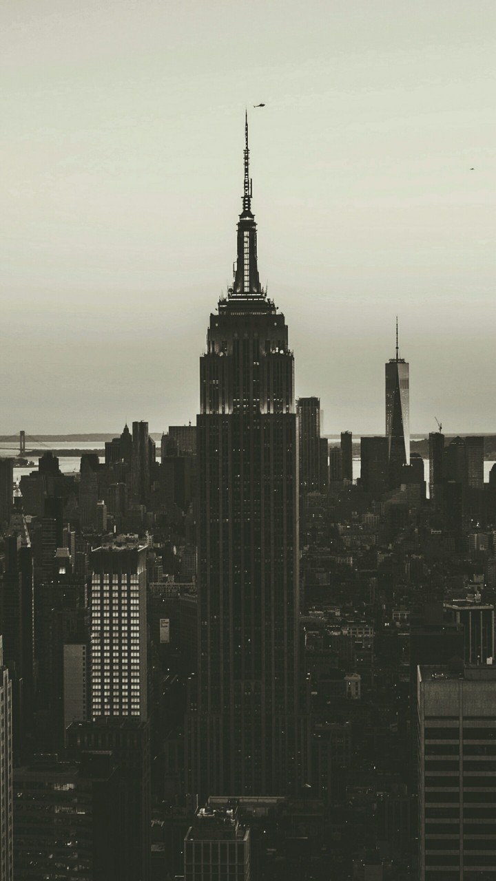 NY