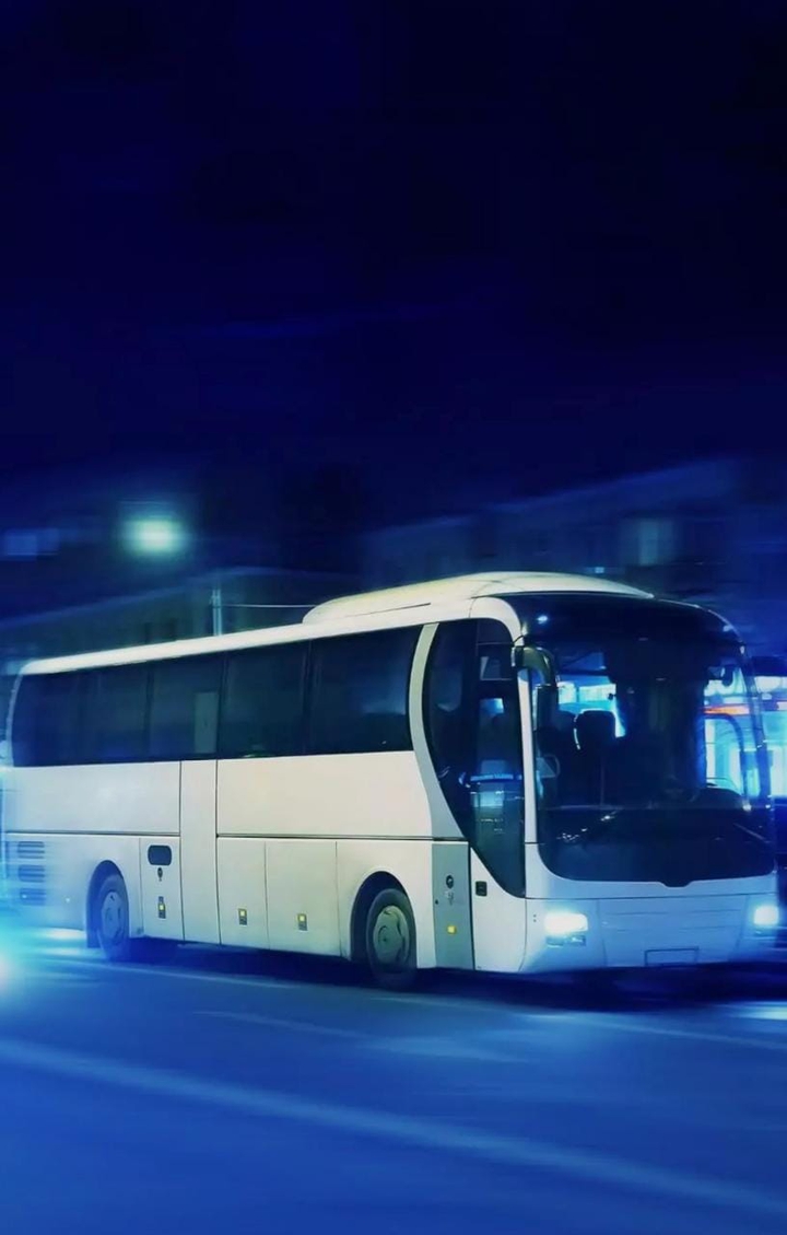 bus