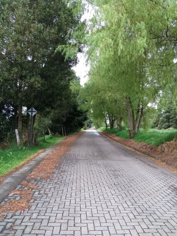 Un camino.