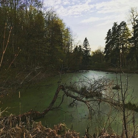 银行, wilderness桌布