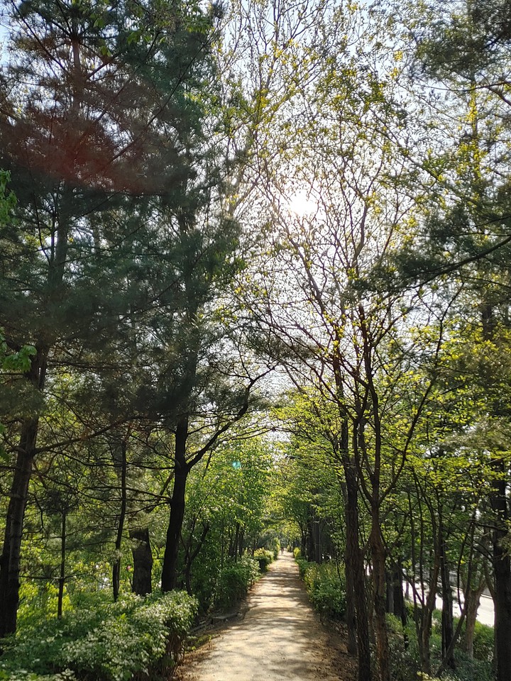산책