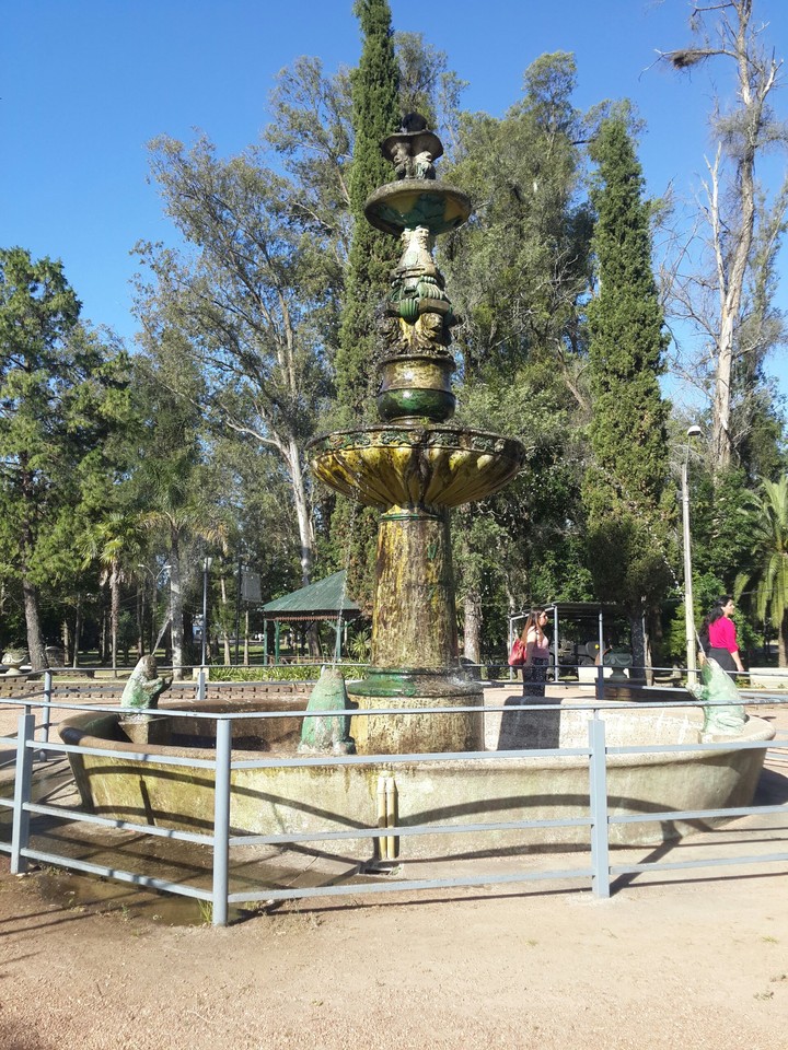 Fuente de sapo