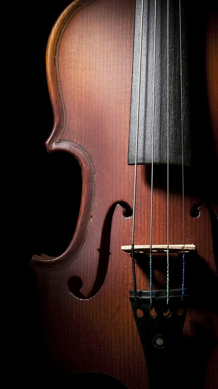 Strings