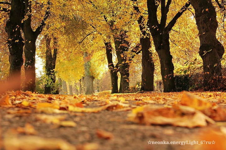 autumn Park