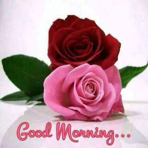 #goodmorning