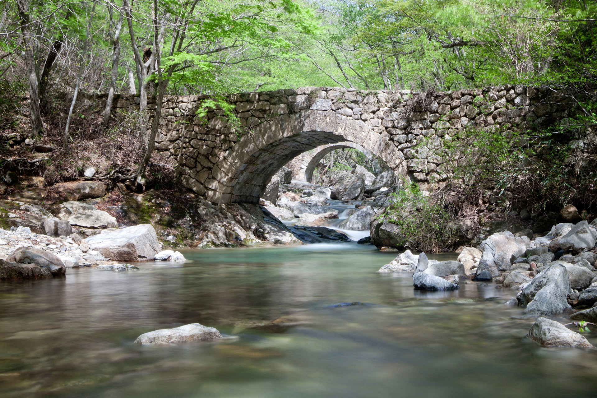 Stream Bank