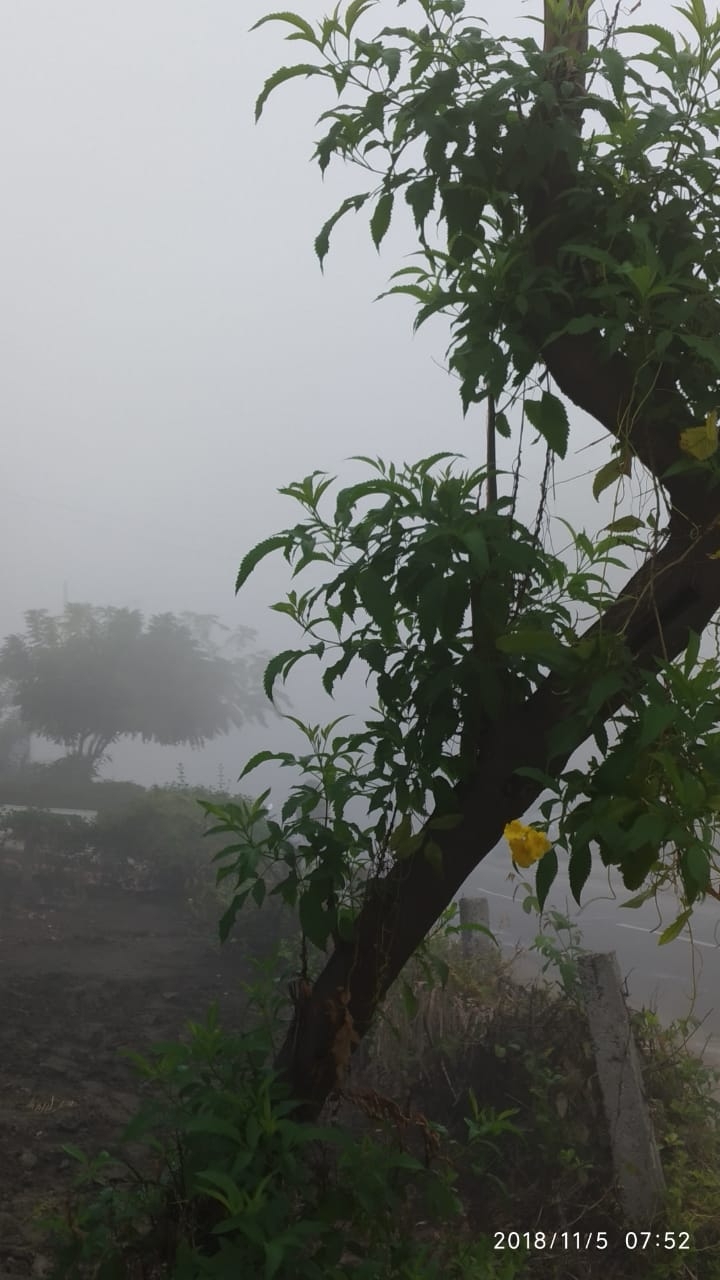foggy morning