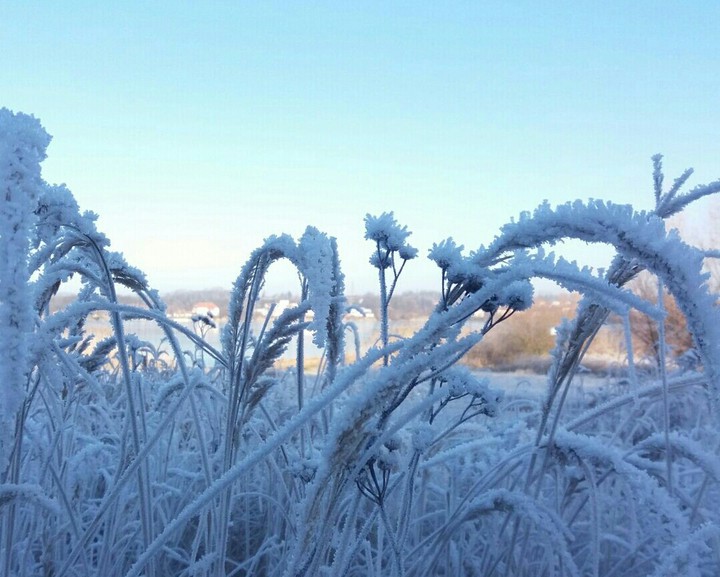 Winter