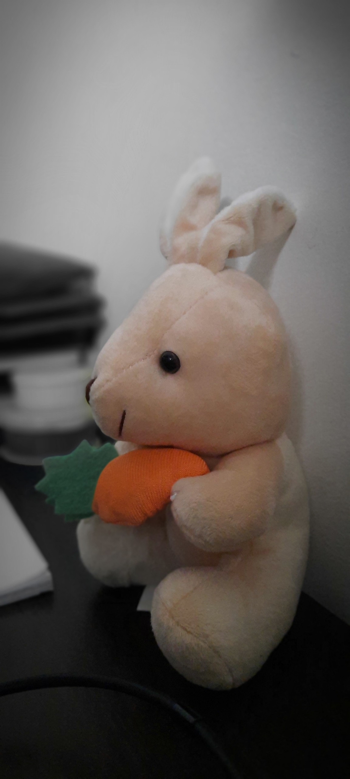 plush rabbit