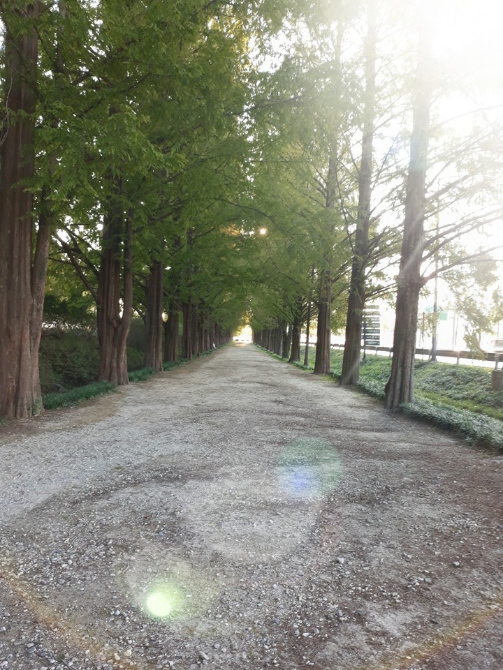 street