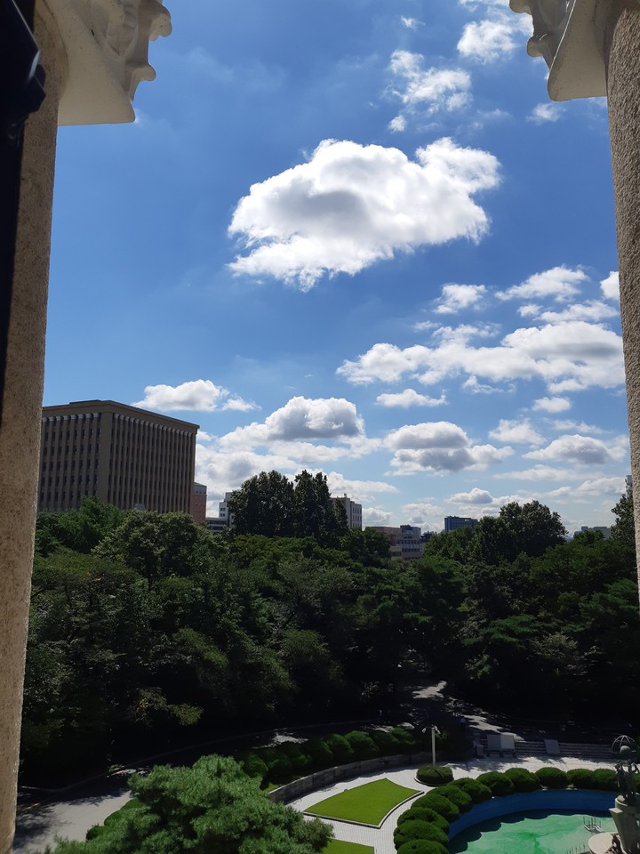 Sunny day