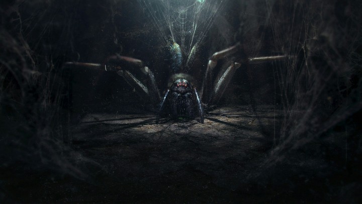 the lord of the rings spider