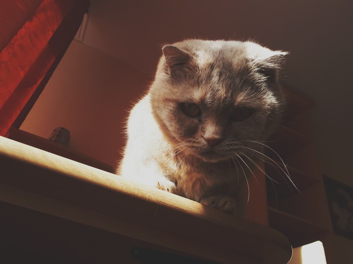 ♡