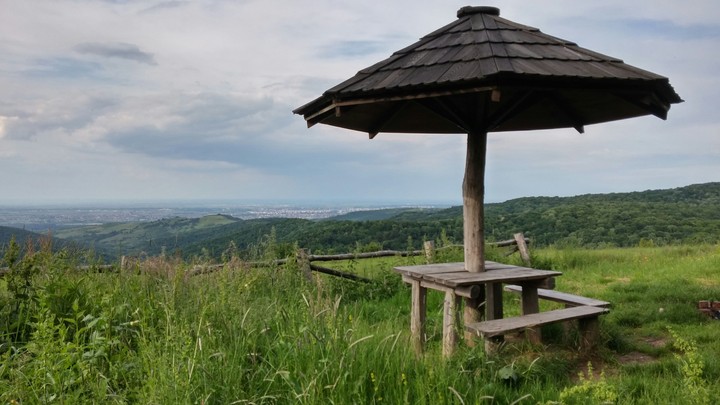 Table in nature
