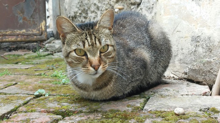 Norra