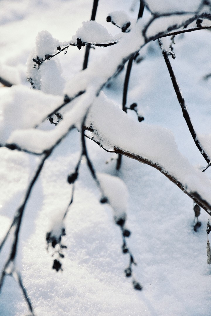 ❄