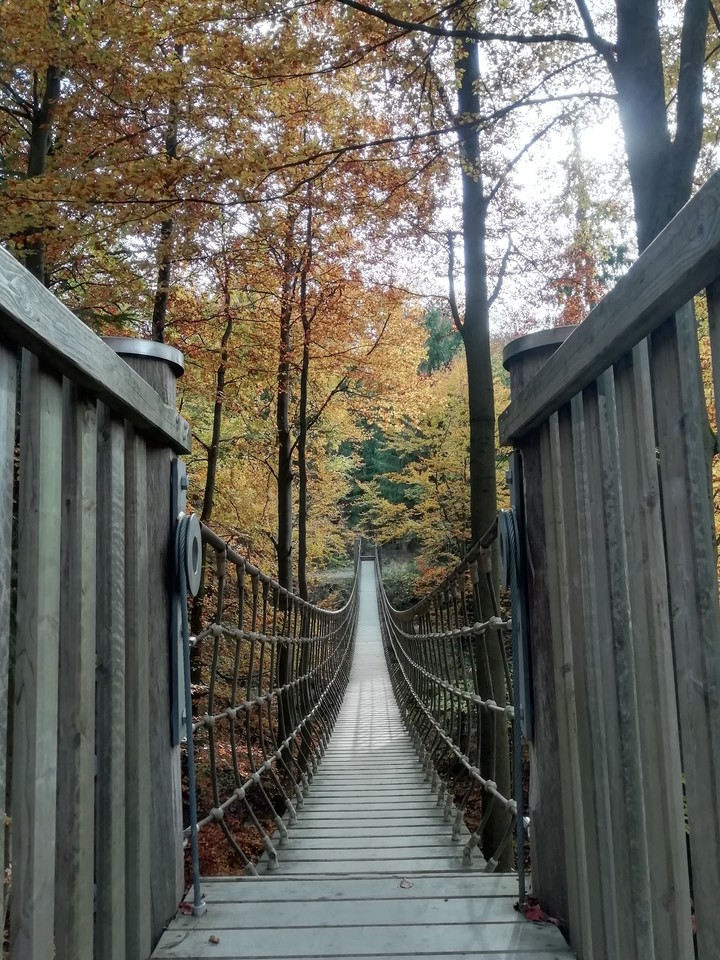 Bridge