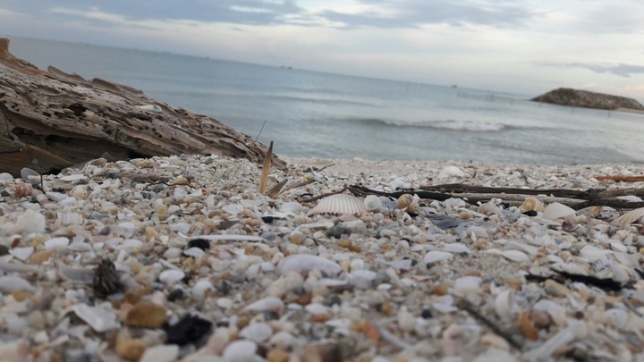 sea