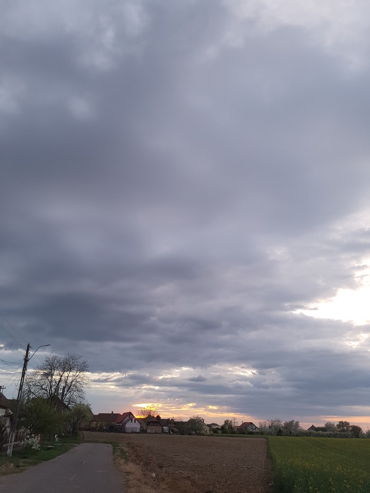 The sun in the sky