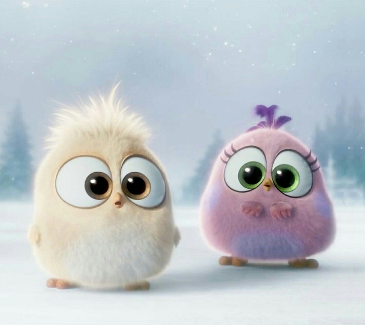 angry birds