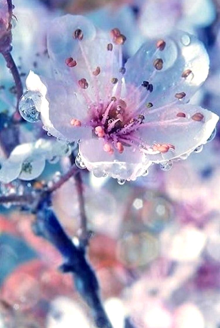 beautiful