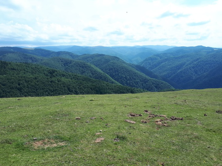 mountain view