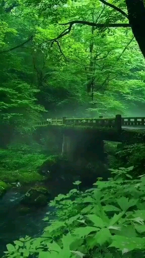 ?♥