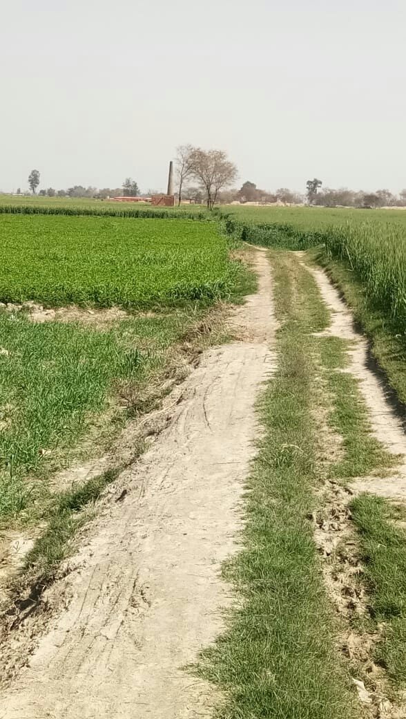 sajid
