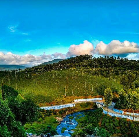 Wings of nature....