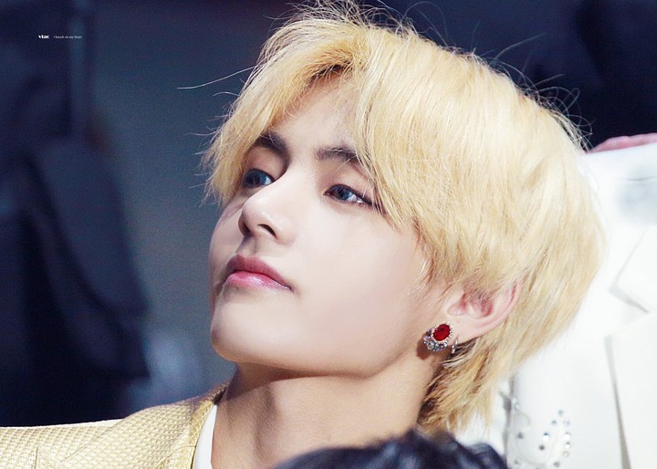 bts v