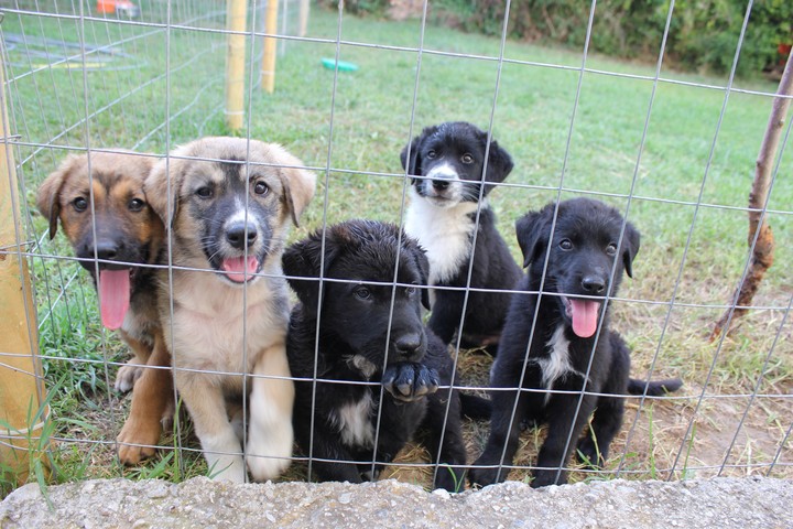 Our cuties