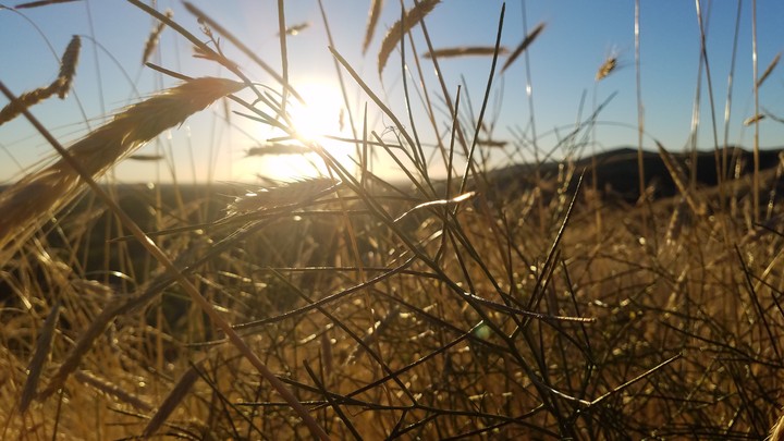 Sunset at Camel's Back park