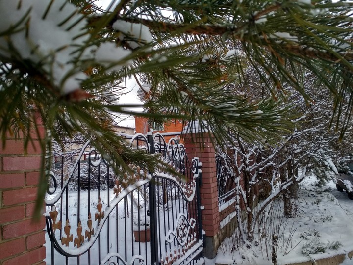 winter