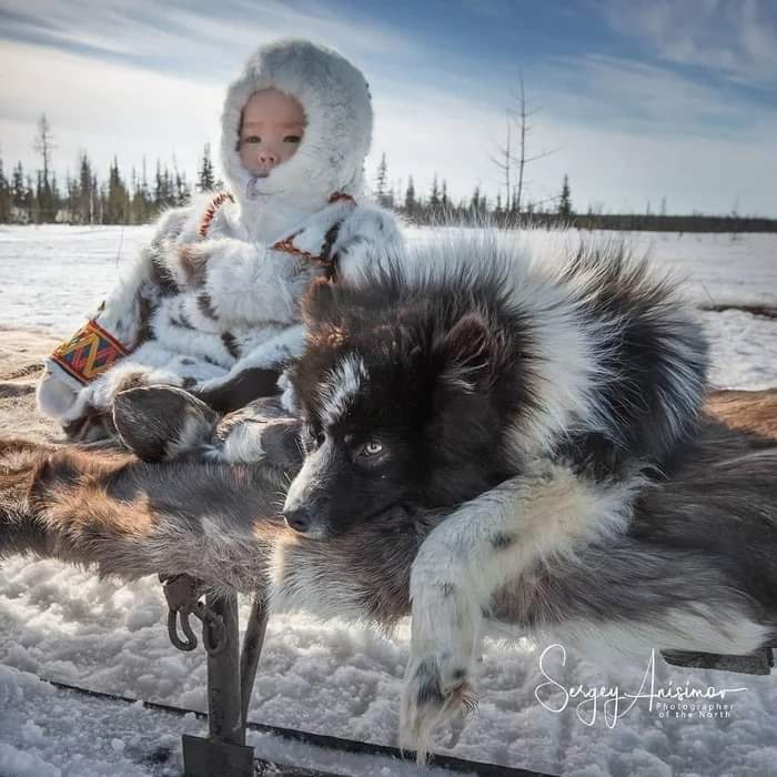 РОССИЯ ??