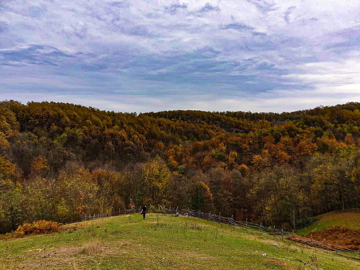 Autumn