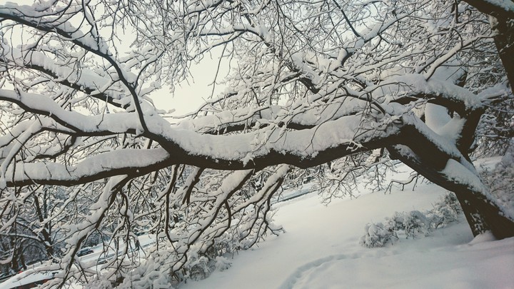 Russian winter