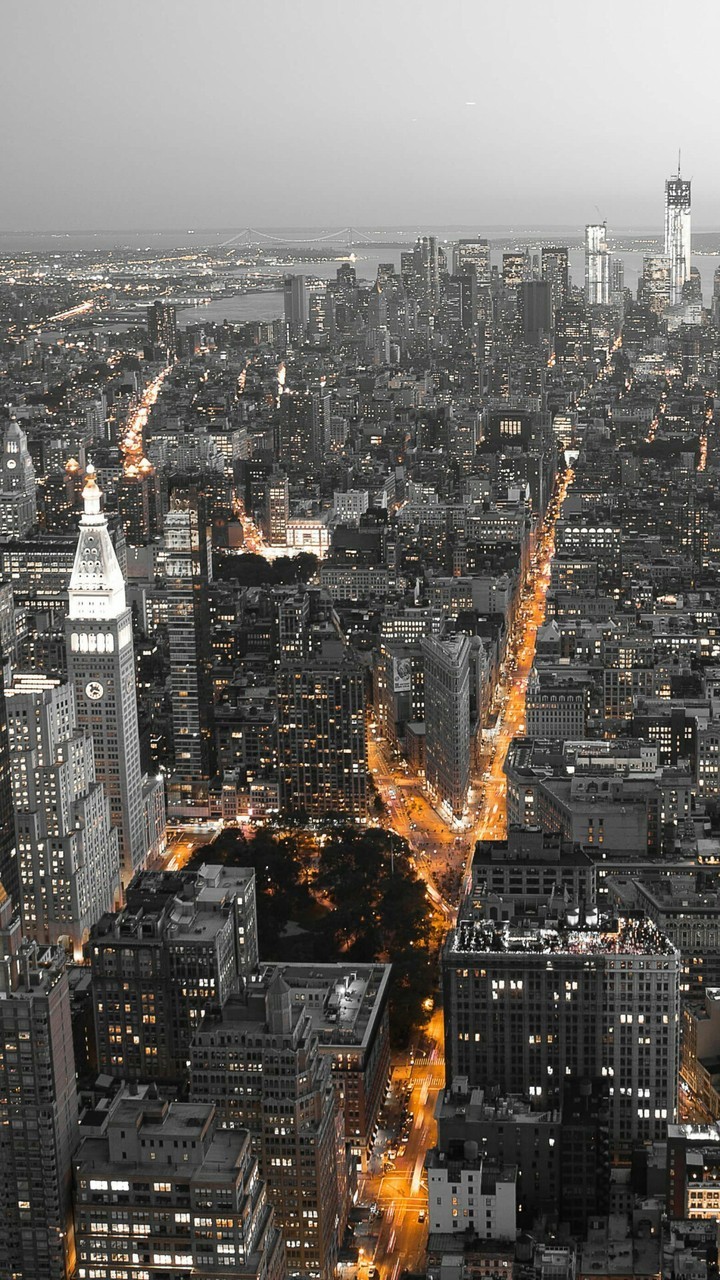 xxc