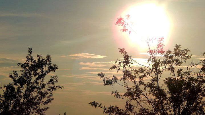 Die brennende sonne