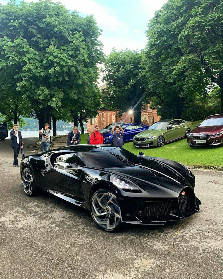 Black Beast