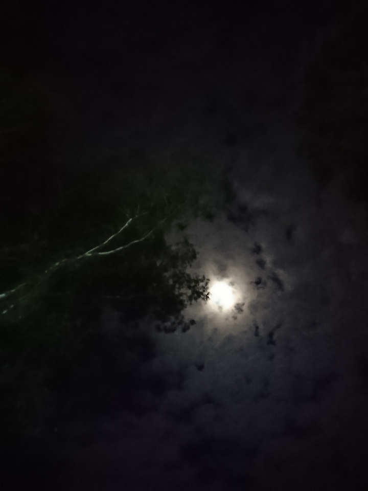 Half-moon