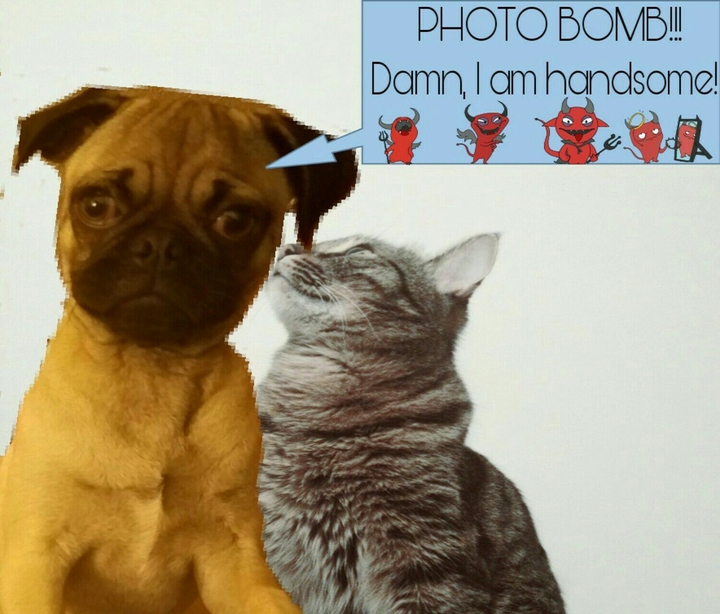 omar's photobomb