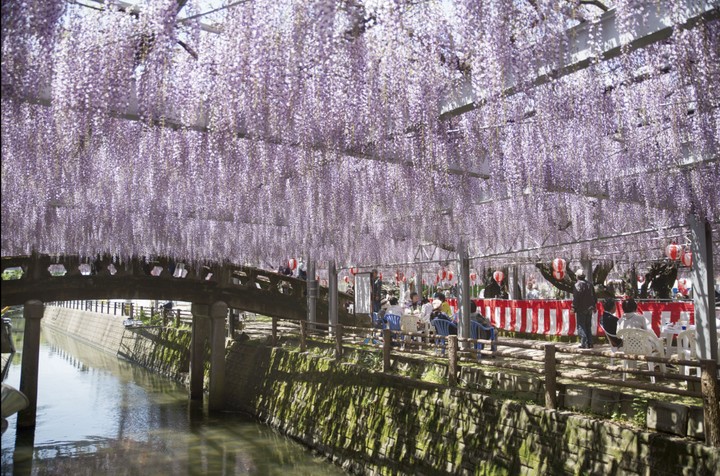 日本の祭典